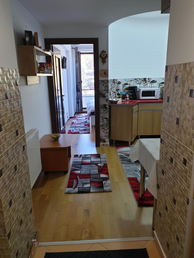 Sophie Apartament Apartment Sinaia Exterior photo