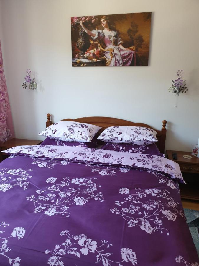 Sophie Apartament Apartment Sinaia Exterior photo
