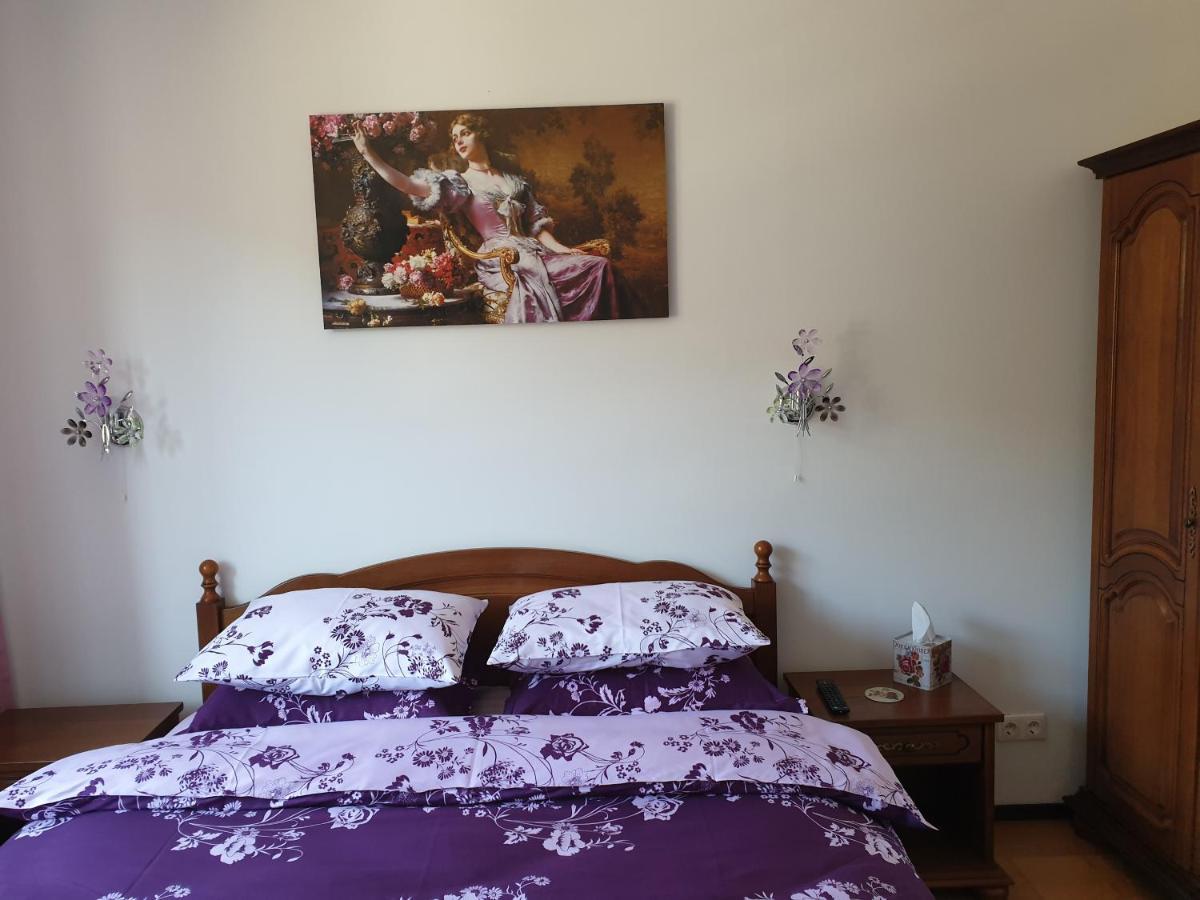 Sophie Apartament Apartment Sinaia Exterior photo