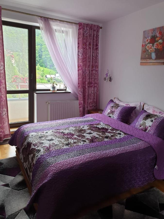 Sophie Apartament Apartment Sinaia Exterior photo