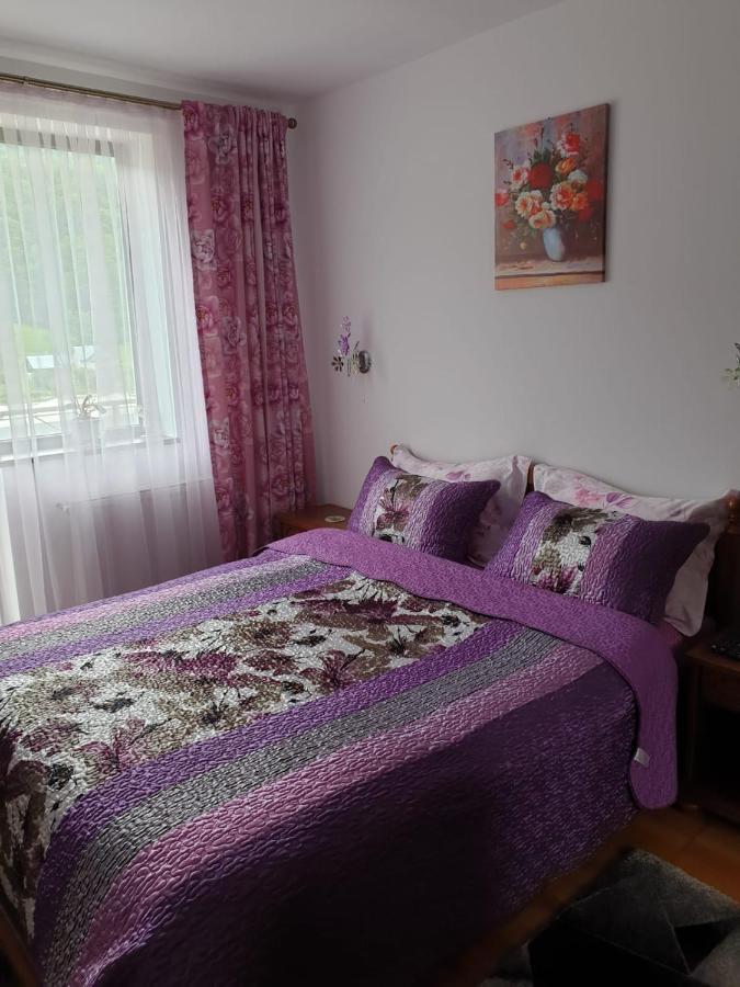 Sophie Apartament Apartment Sinaia Exterior photo