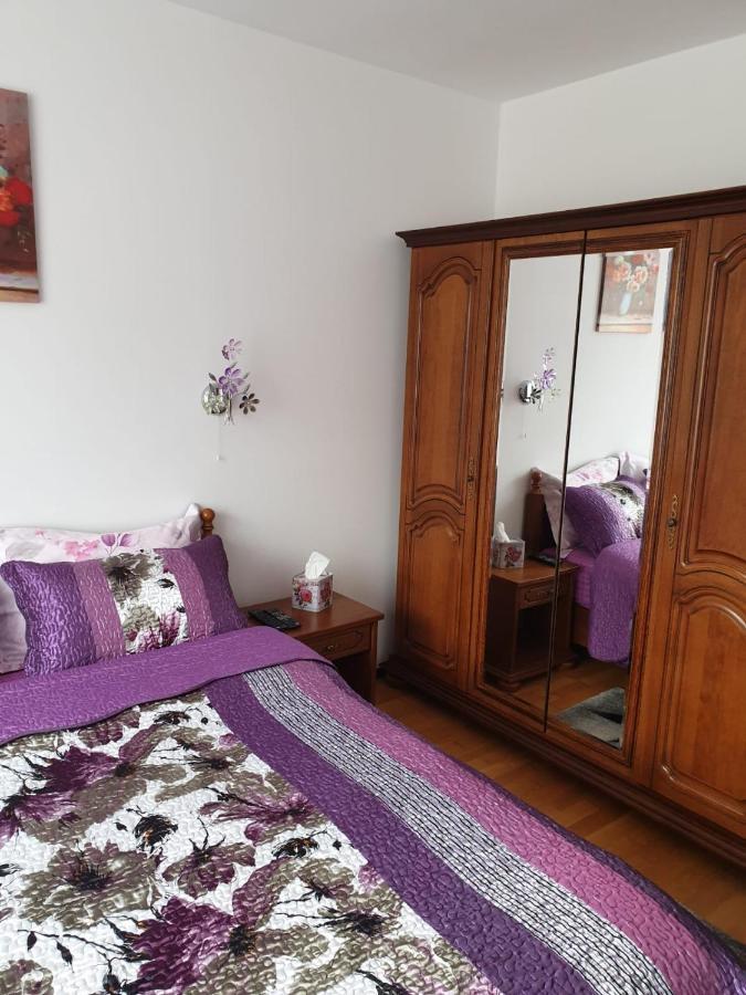 Sophie Apartament Apartment Sinaia Exterior photo