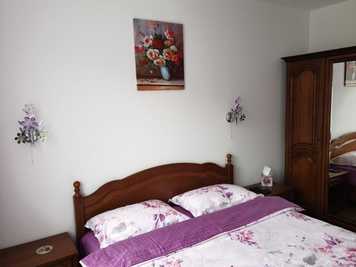 Sophie Apartament Apartment Sinaia Exterior photo